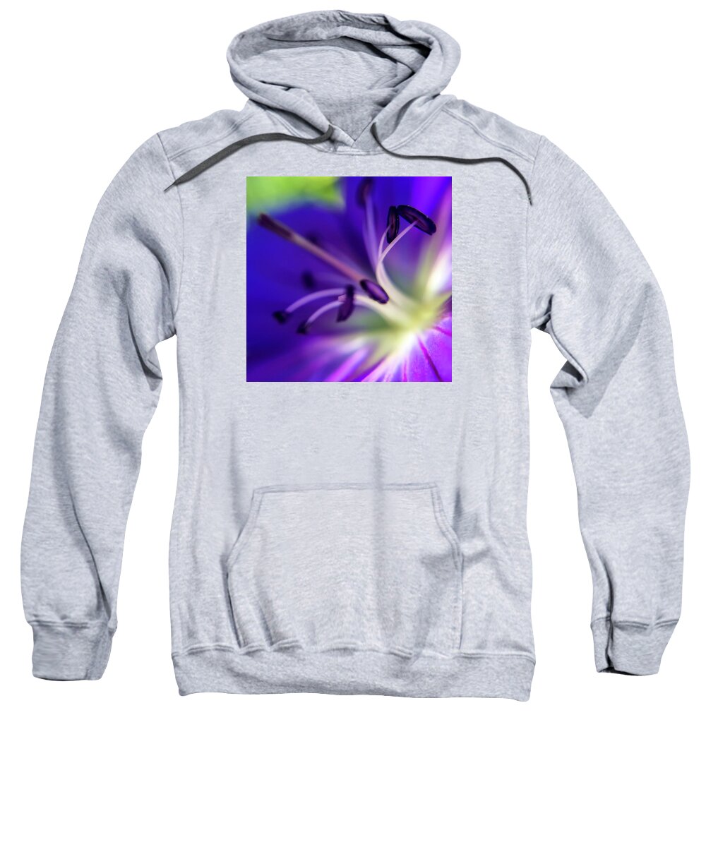 Flower Sweatshirt featuring the photograph Purple Starburst by Terri Hart-Ellis