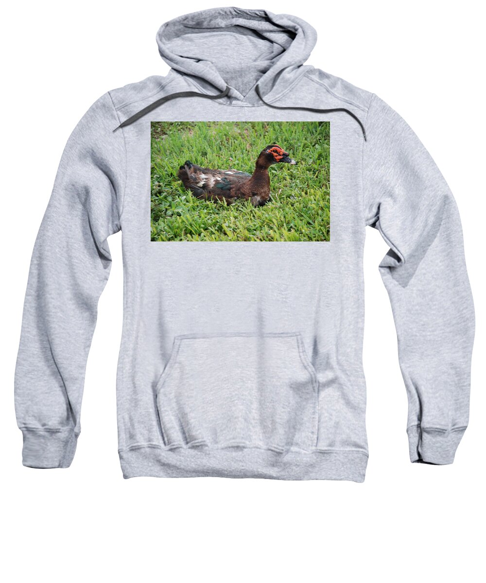 Duck Sweatshirt featuring the photograph Quack by Rob Hans