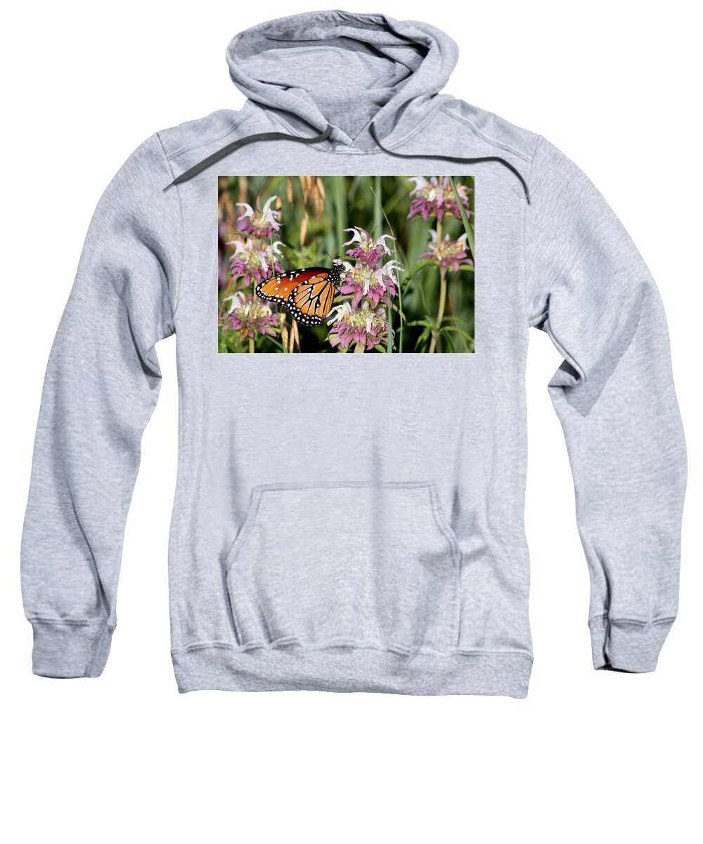 Nature Sweatshirt featuring the photograph Queen Butterfly and Purple Wildflowers by Sheila Brown