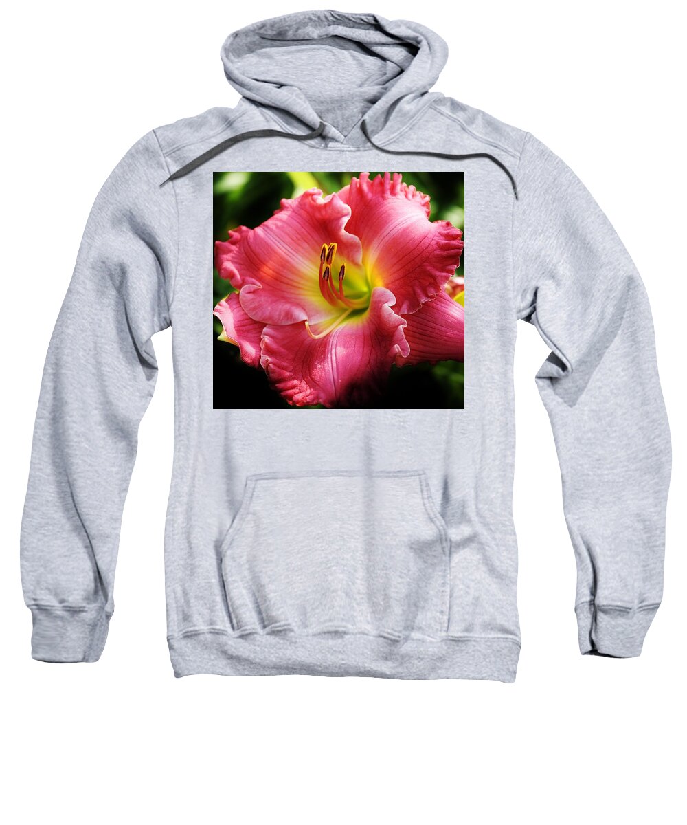 Flora Sweatshirt featuring the photograph Radiant Pink Daylily by Bruce Bley