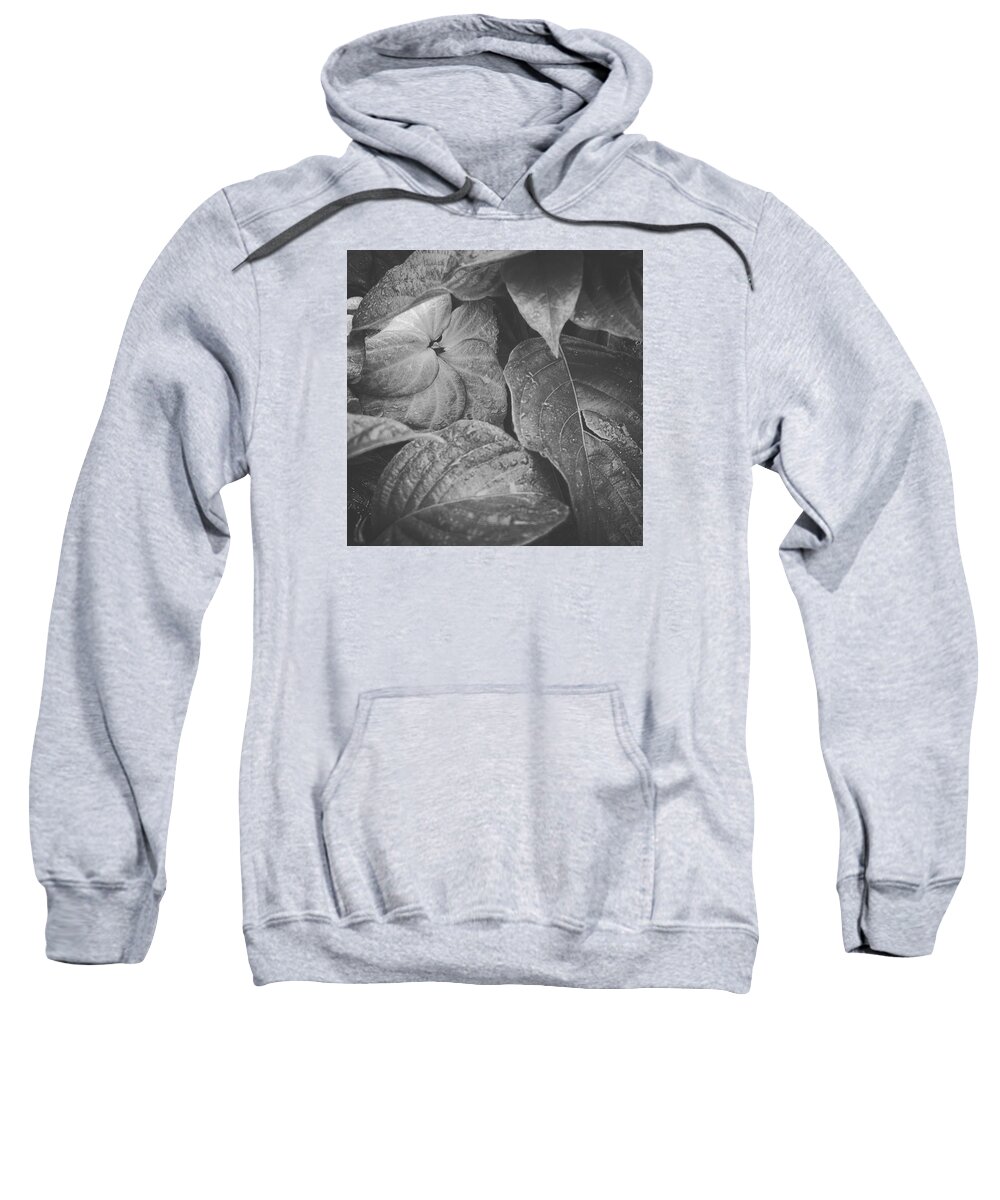 Nature Sweatshirt featuring the photograph Rain by Lean P