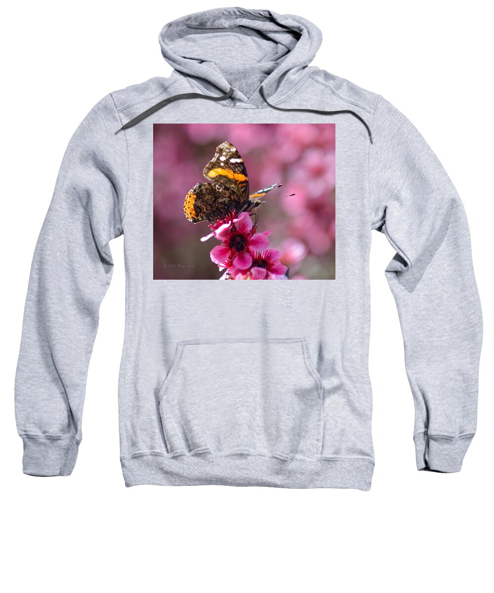 Nature Sweatshirt featuring the photograph Red Admiral Butterfly by Brian Tada