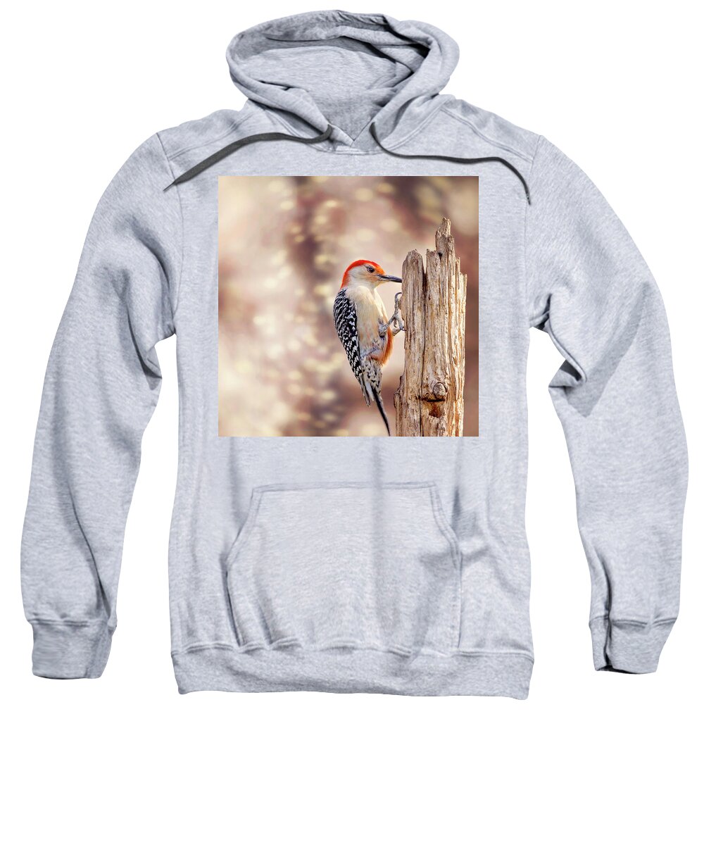 Red-bellied Woodpecker Sweatshirt featuring the photograph Red Belly Soft Bokeh by Bill and Linda Tiepelman