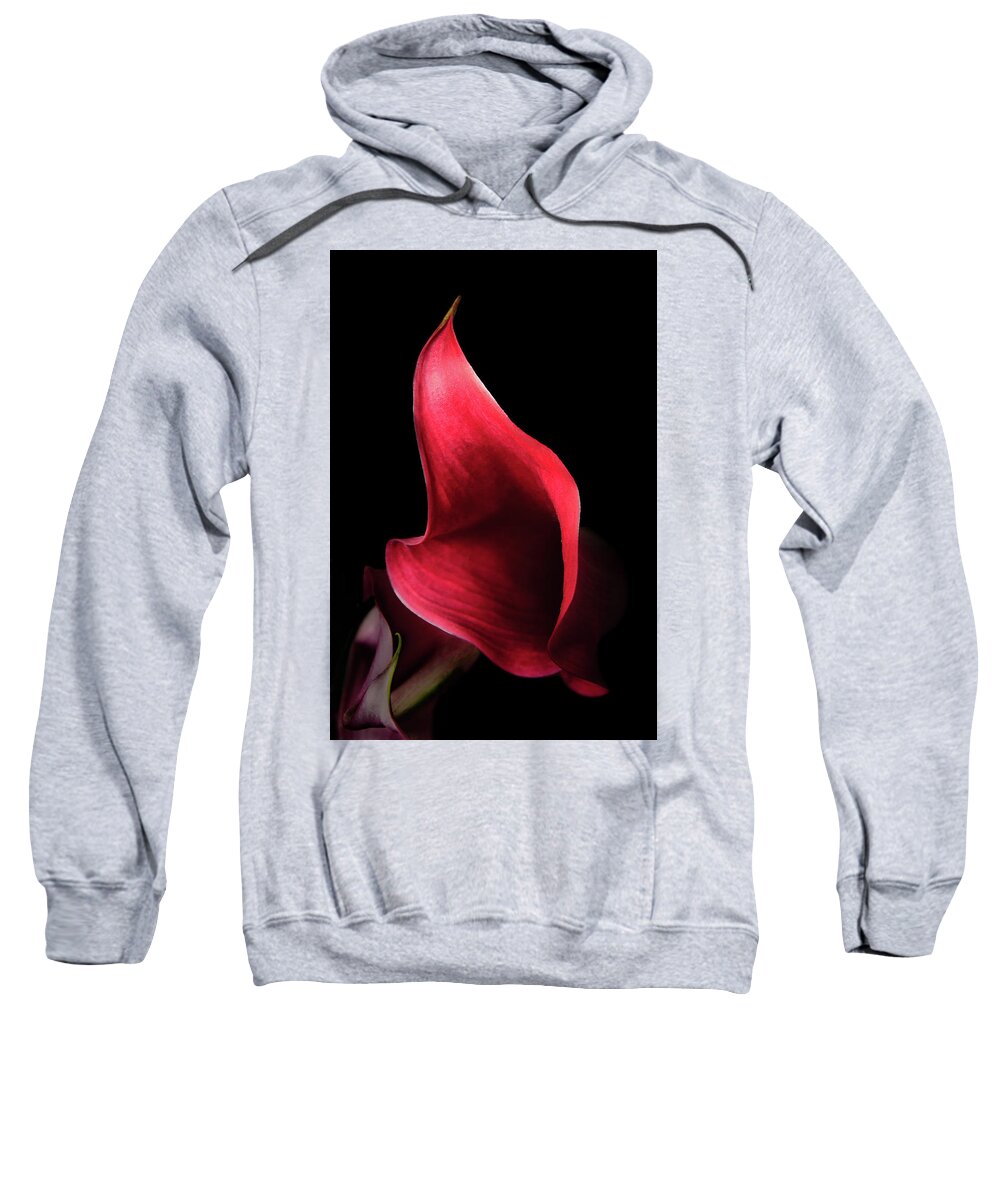 10th Anniversary Sweatshirt featuring the photograph Red Passion on Black by Joni Eskridge