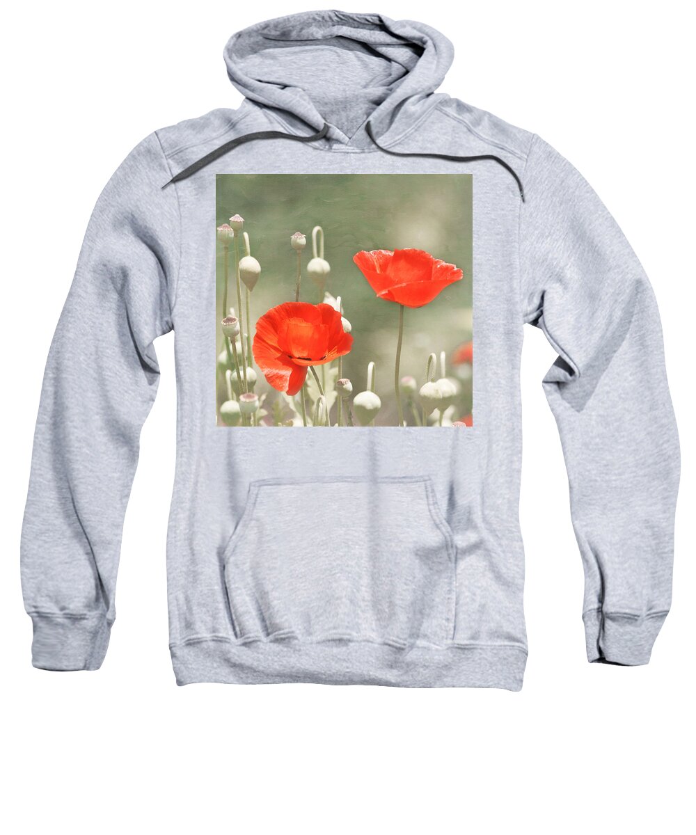 Red Flower Sweatshirt featuring the photograph Red Poppies by Kim Hojnacki