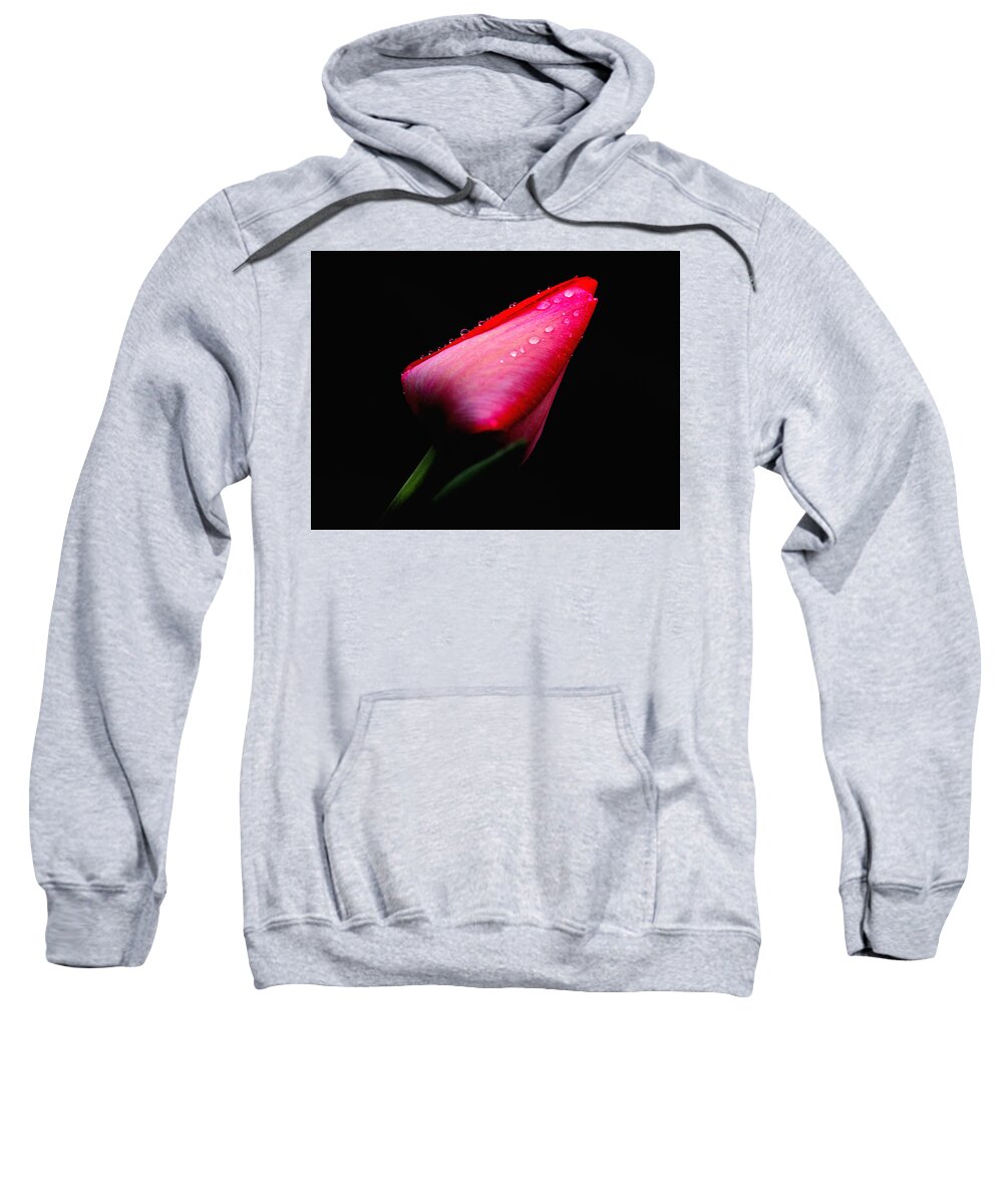 Floral Sweatshirt featuring the photograph Red Tulip with Raindrops by Trina Ansel