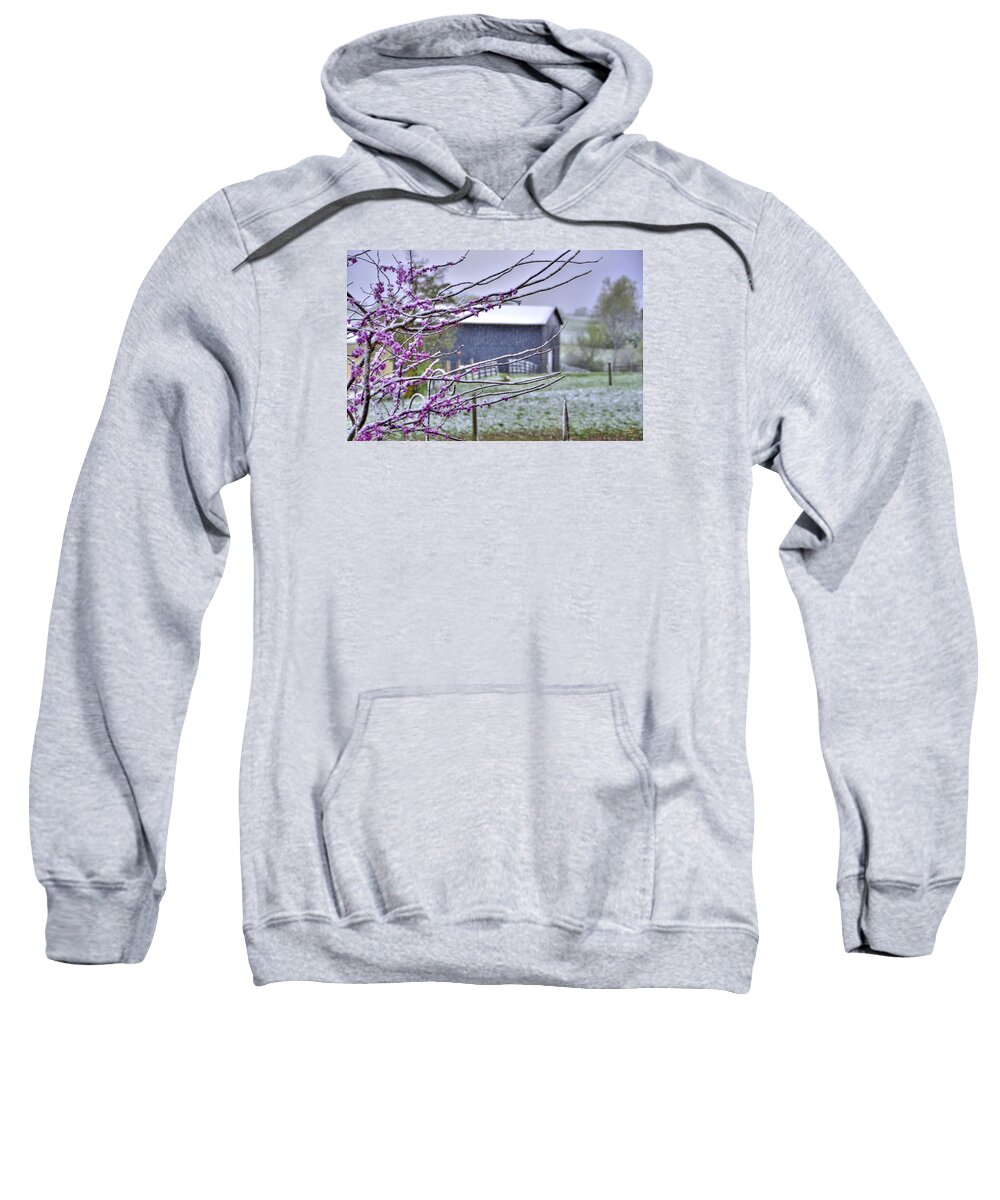 Landscape Sweatshirt featuring the photograph Redbud Winter by Sam Davis Johnson