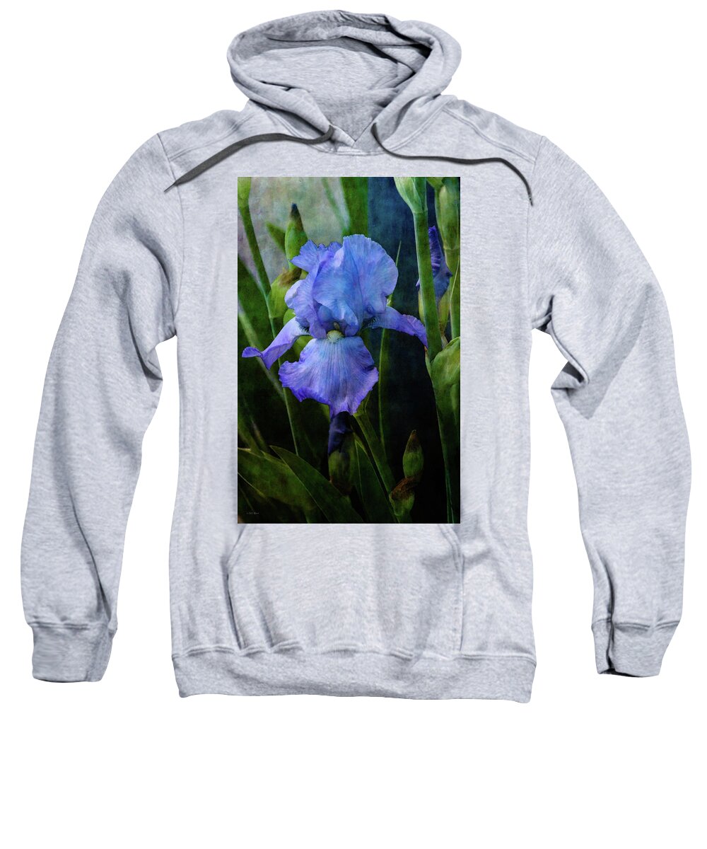 Impressionist Sweatshirt featuring the photograph Regal 0446 IDP_2 by Steven Ward