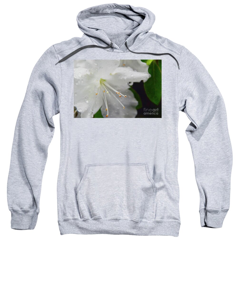  Sweatshirt featuring the photograph Rhododendron Blossom by Brian O'Kelly