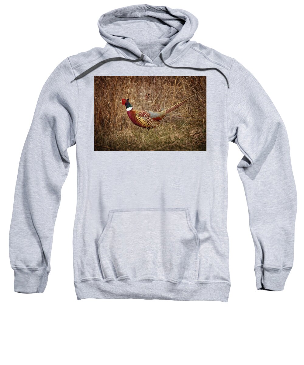 Pheasants Sweatshirt featuring the photograph Ring Necked Pheasant by Susan Rissi Tregoning
