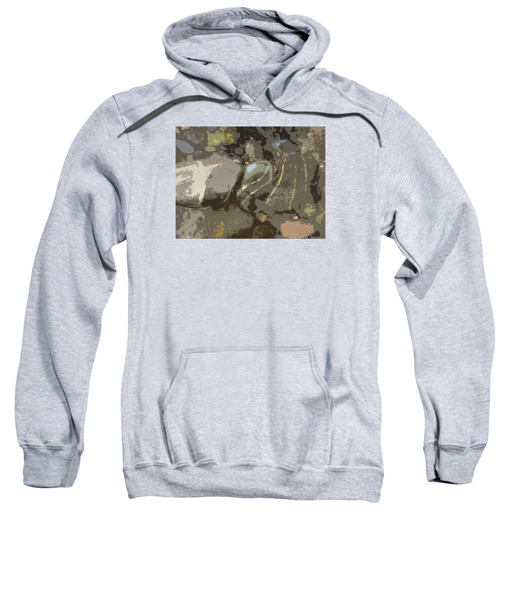 Abstract Sweatshirt featuring the photograph River Sage by Susan Esbensen