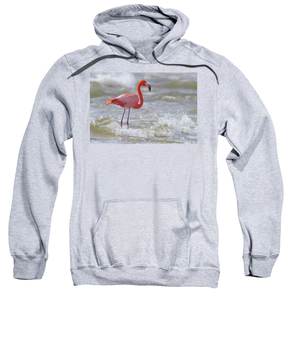 Waves Sweatshirt featuring the photograph Rockin' Waves by Evelyn Garcia