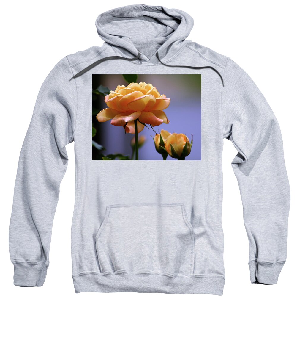 Rose Sweatshirt featuring the photograph Rose 1156 H_2 by Steven Ward