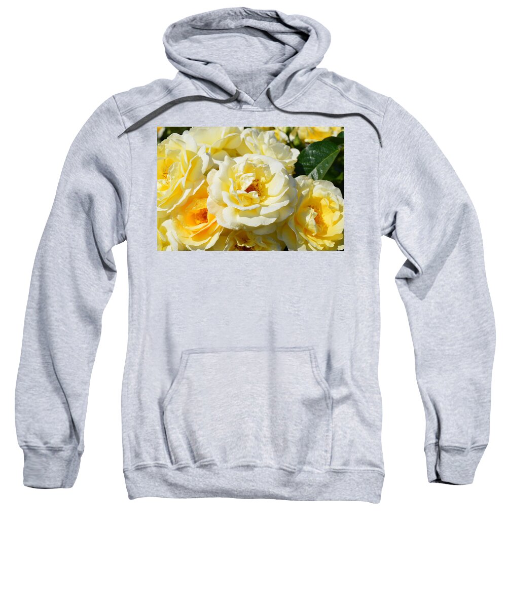 Flowers Sweatshirt featuring the photograph Rose Bush by Charles HALL
