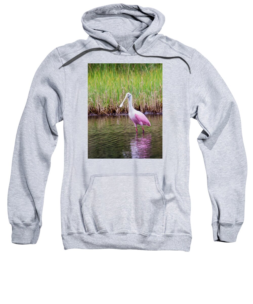 Wildlfe Sweatshirt featuring the photograph Roseate Spoonbill by Patricia Schaefer