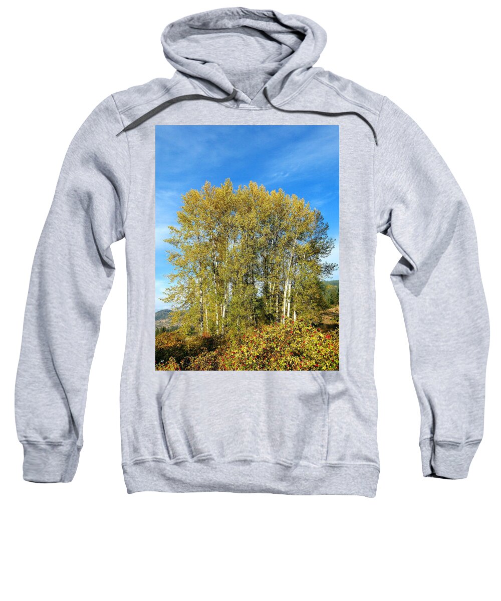 #rosehipsandcottonwoods Sweatshirt featuring the photograph Rosehips And Cottonwoods by Will Borden