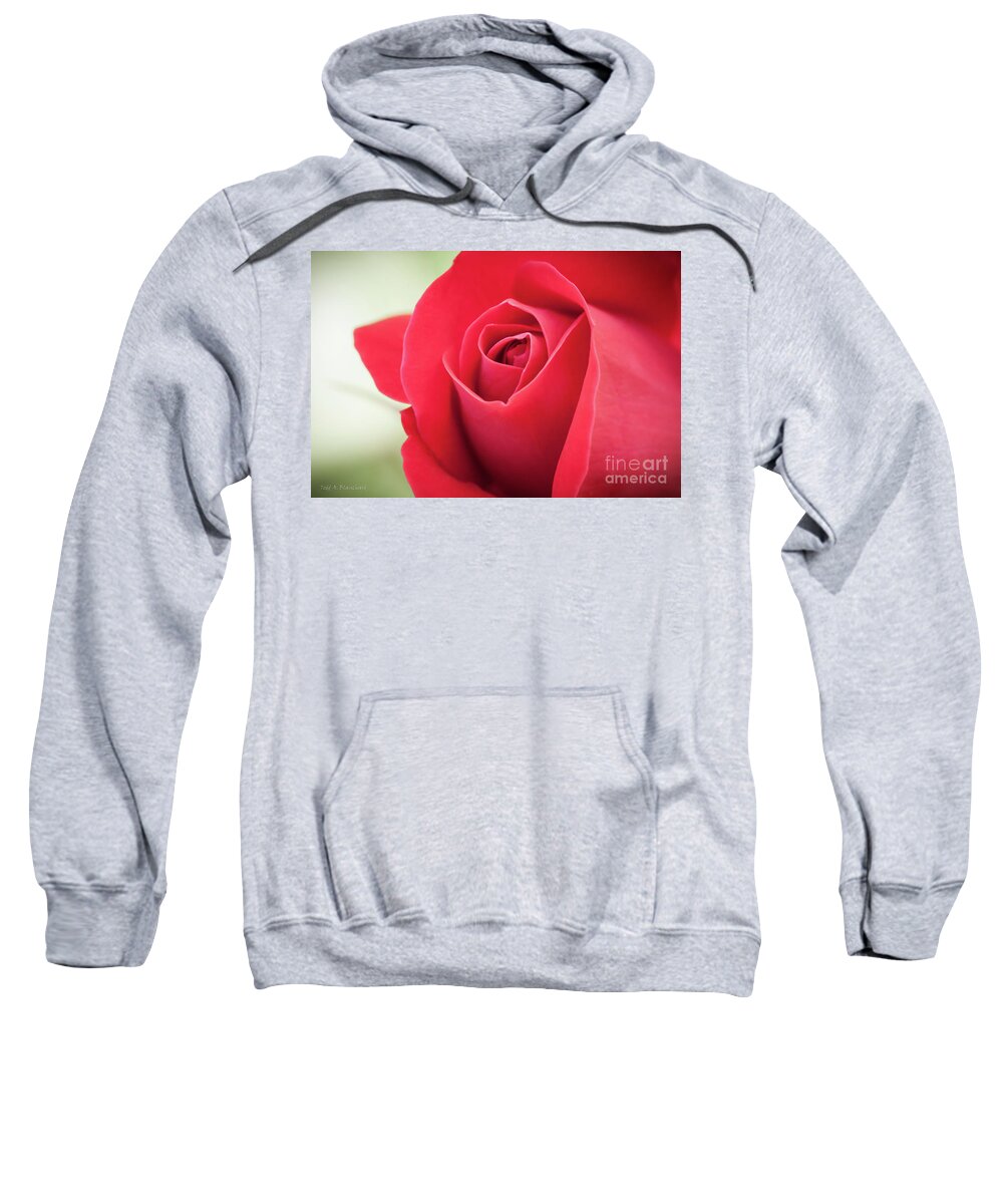 Bloom Sweatshirt featuring the photograph Roses Are Red by Todd Blanchard