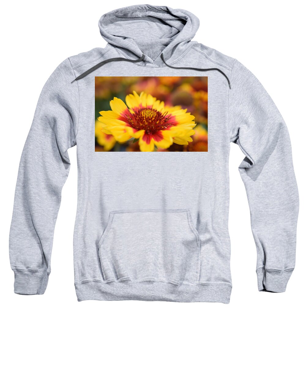 Flower Sweatshirt featuring the photograph Rudbeckia by Jimmy Chuck Smith