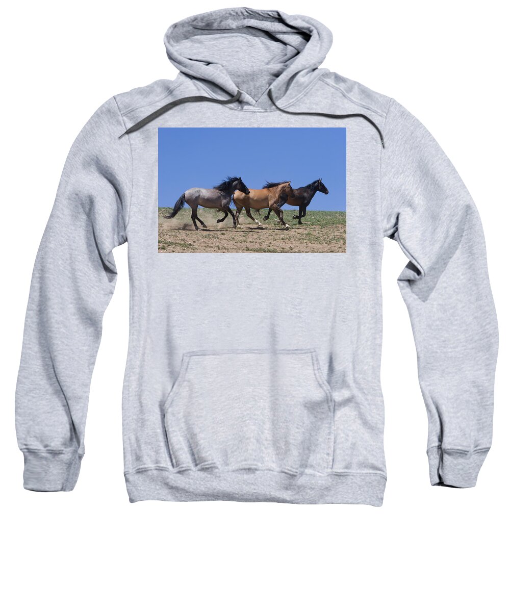 Wild Horse Sweatshirt featuring the photograph Running Free- Wild Horses by Mark Miller