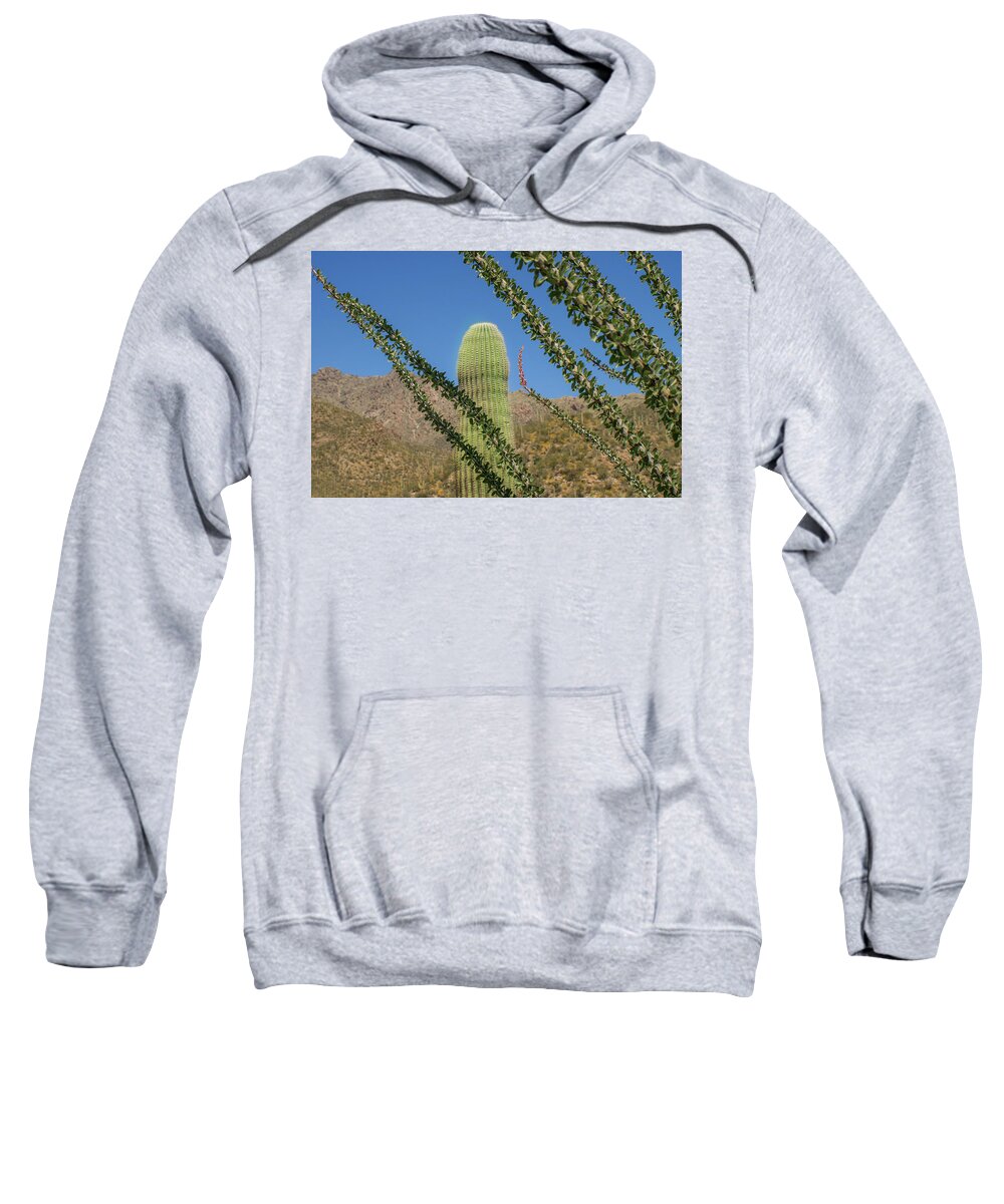 Arizona Sweatshirt featuring the photograph Saguarotillo by Jen Manganello