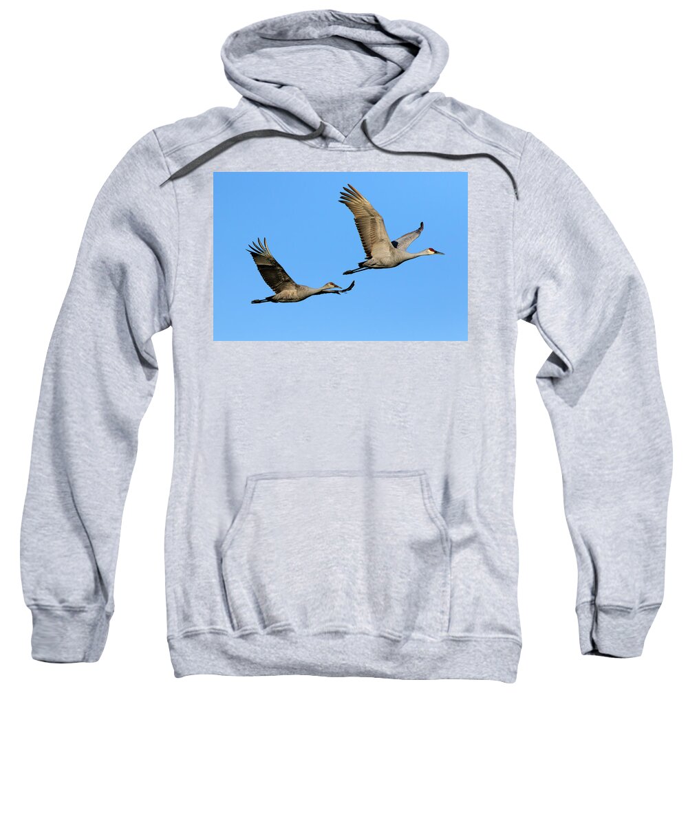 Lake Erie Sweatshirt featuring the photograph Sandhill Cranes in Flight 2 by Gary Hall