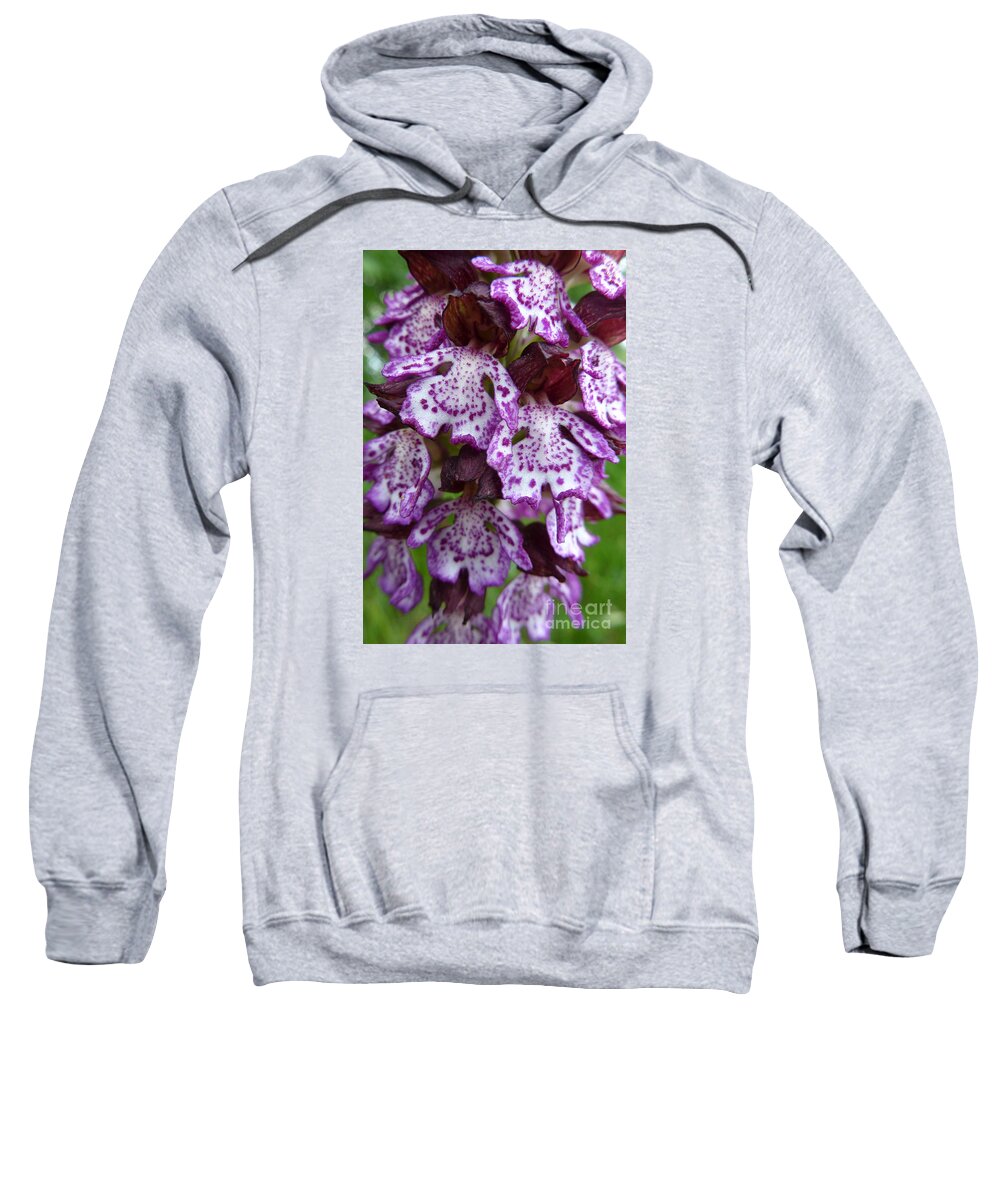 Beauty Sweatshirt featuring the photograph Savage Orchid 2 by Jean Bernard Roussilhe