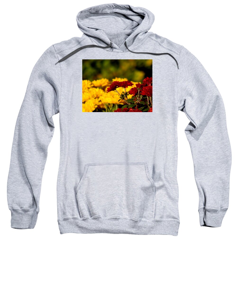 Autumn Sweatshirt featuring the photograph Scarlett Photo Bombs by Wild Thing