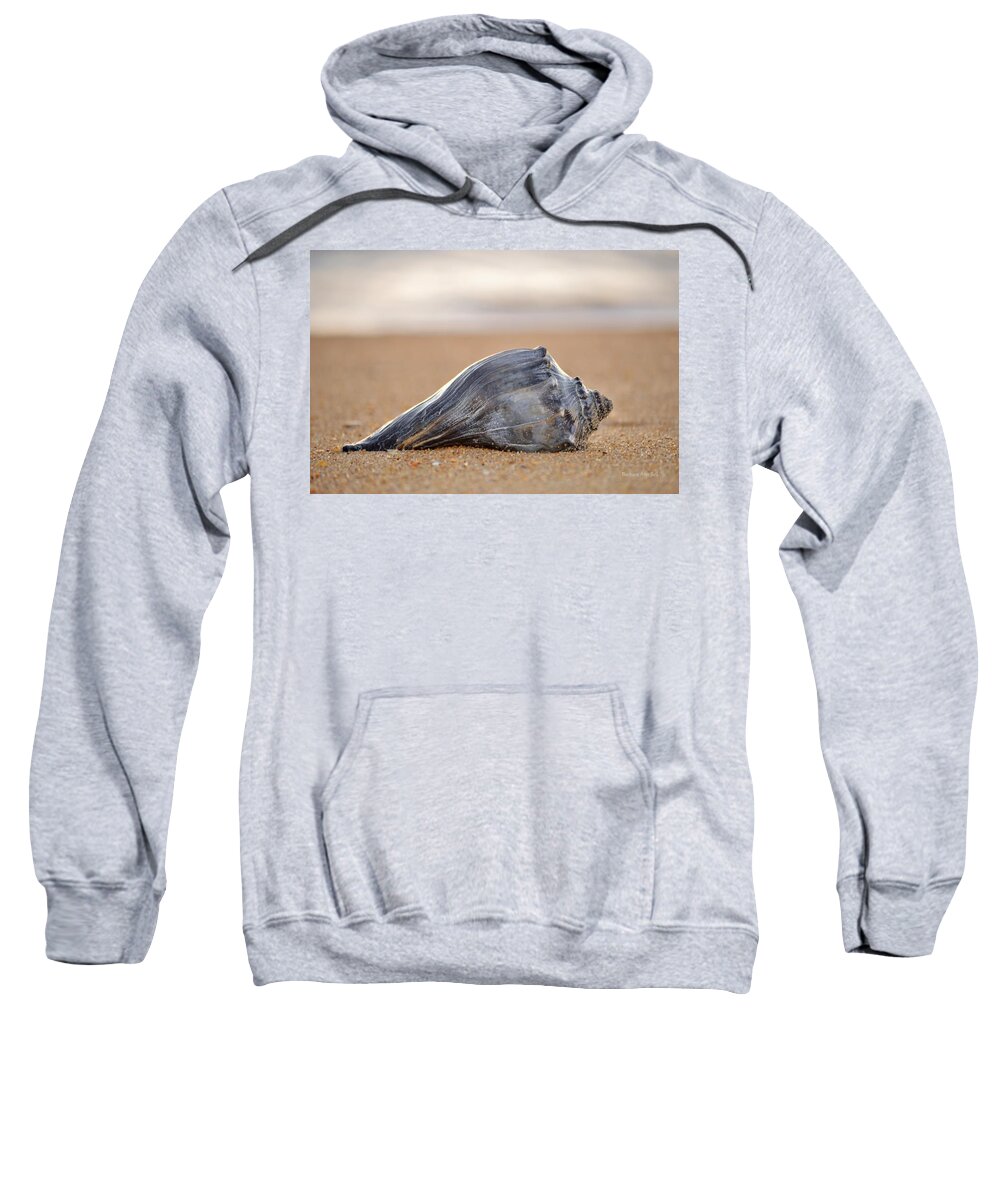 Obx Sunrise Sweatshirt featuring the photograph Sea Life by Barbara Ann Bell