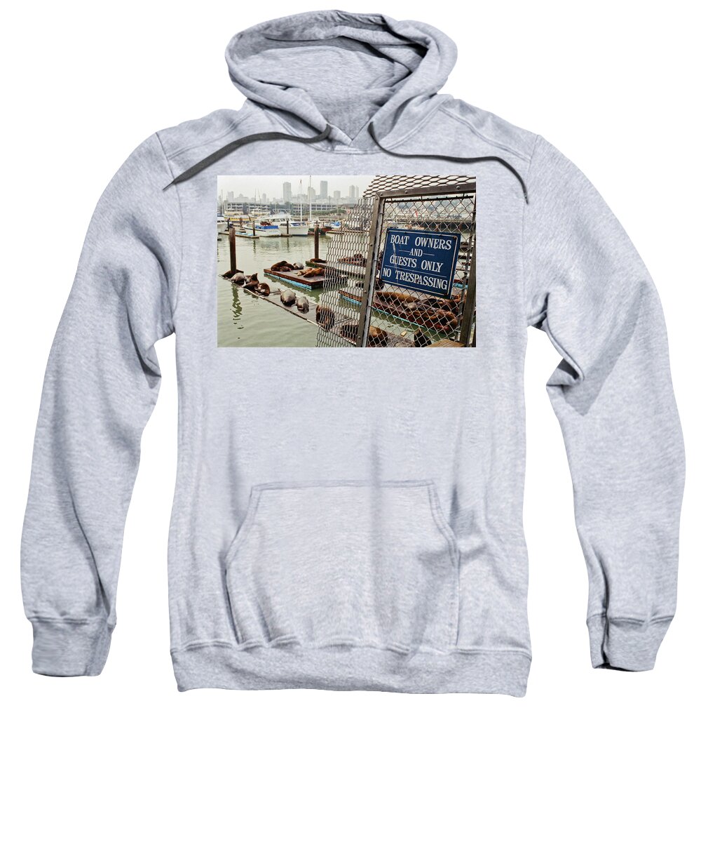 Color Sweatshirt featuring the photograph Sea Lions Take Over, San Francisco by Frank DiMarco