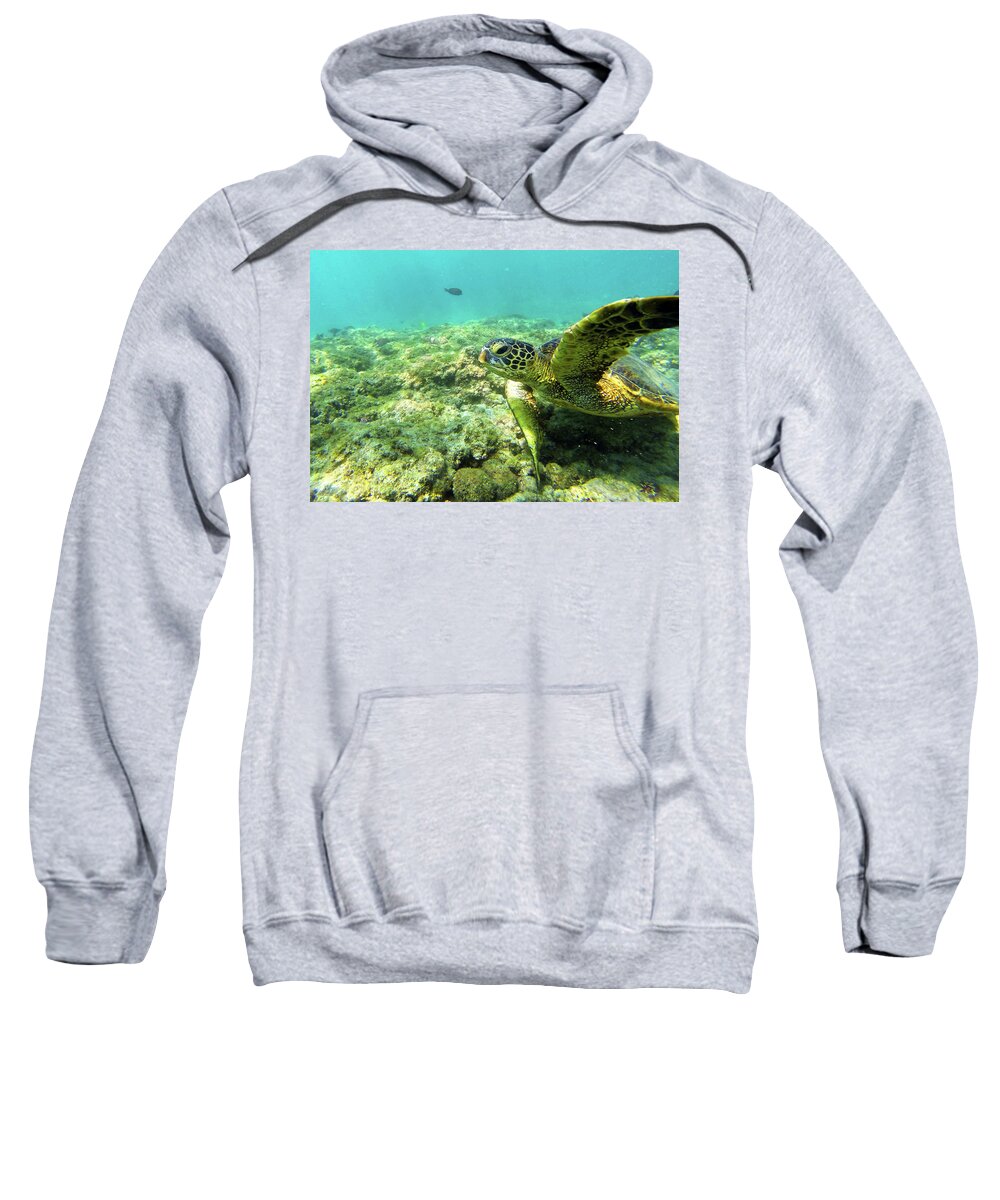 Underwater Sweatshirt featuring the photograph Sea Turtle #2 by Anthony Jones