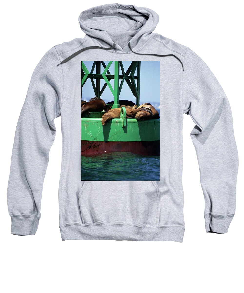 Seals Sweatshirt featuring the photograph Seals on channel marker by David Shuler