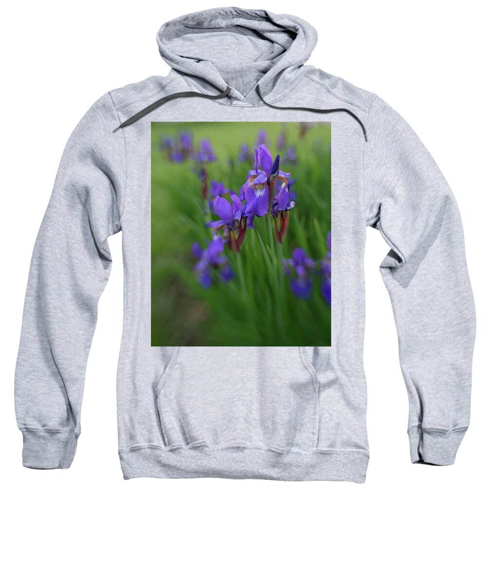 Iris Sweatshirt featuring the photograph See clearly now by Pamela Taylor