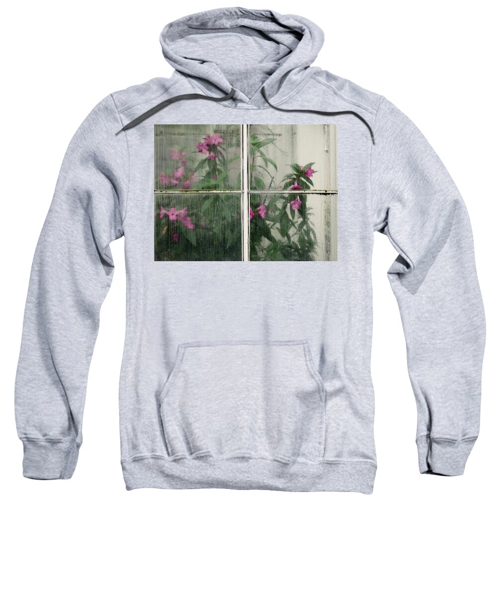  Conservatory. Through Sweatshirt featuring the photograph Seeing Through by Lynn Wohlers