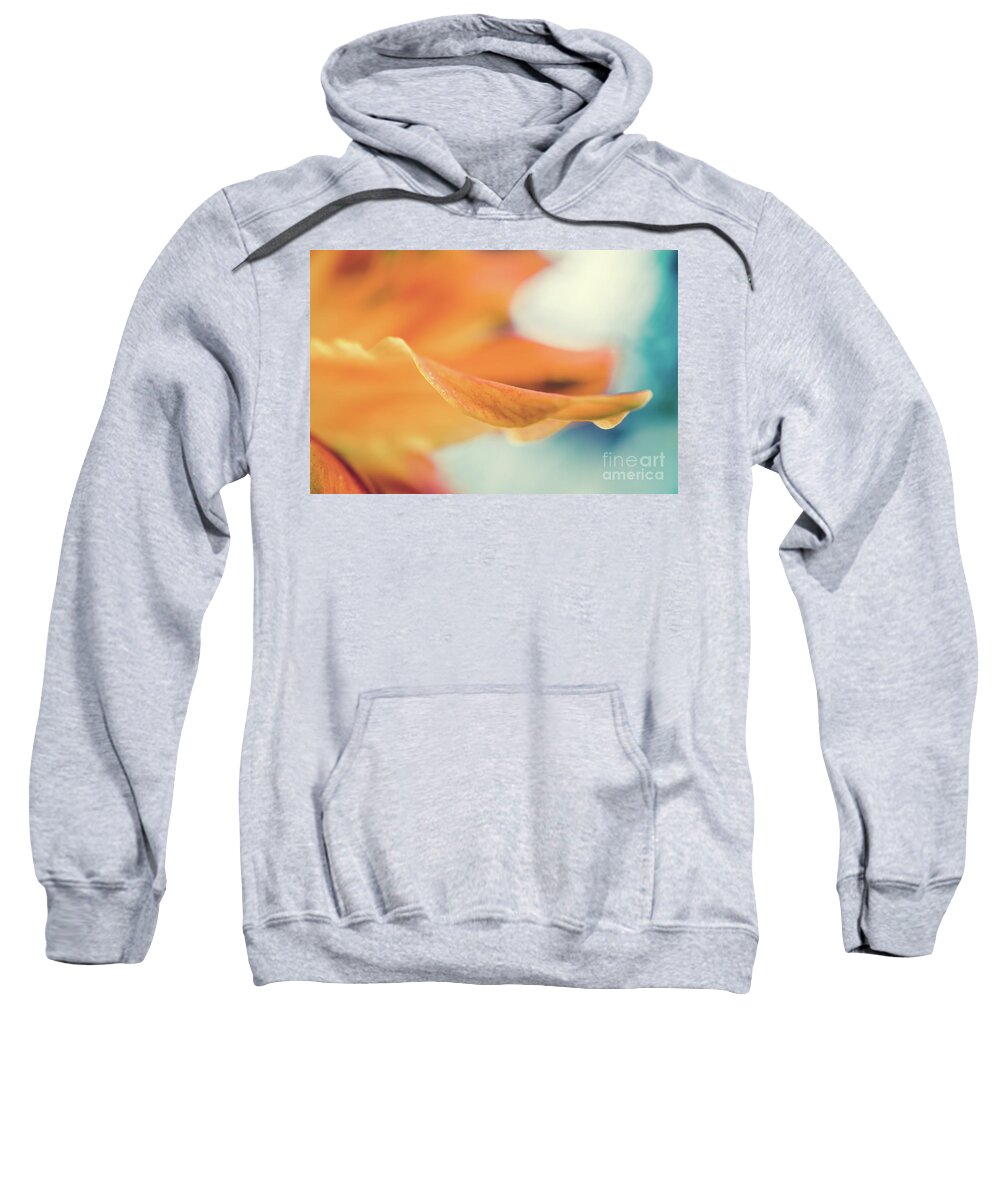 Lily Sweatshirt featuring the photograph Serene Petals of Life - Lily Botanical Nature / Floral Photograph by PIPA Fine Art - Simply Solid