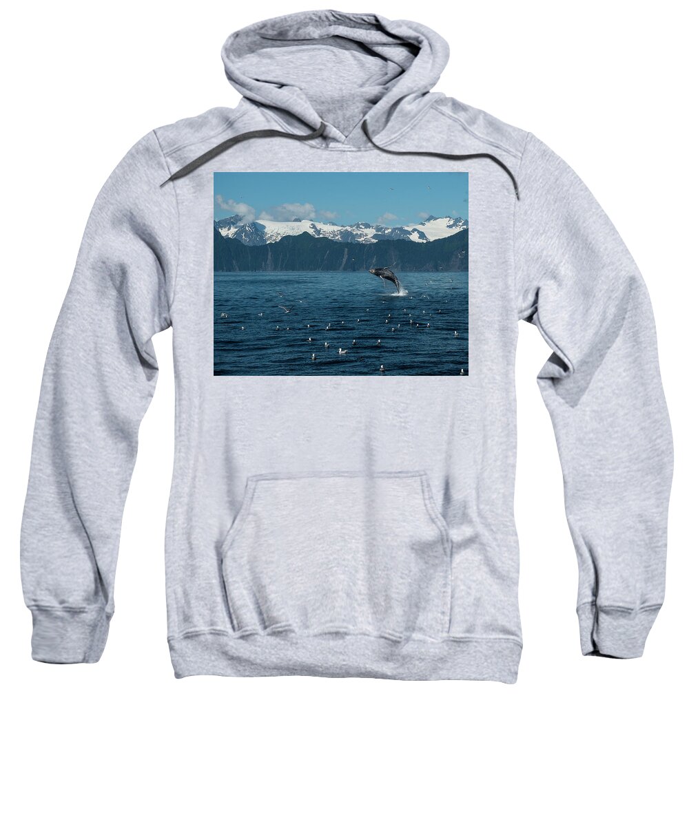Alaska Sweatshirt featuring the photograph Seward Whale Breach by Ian Johnson