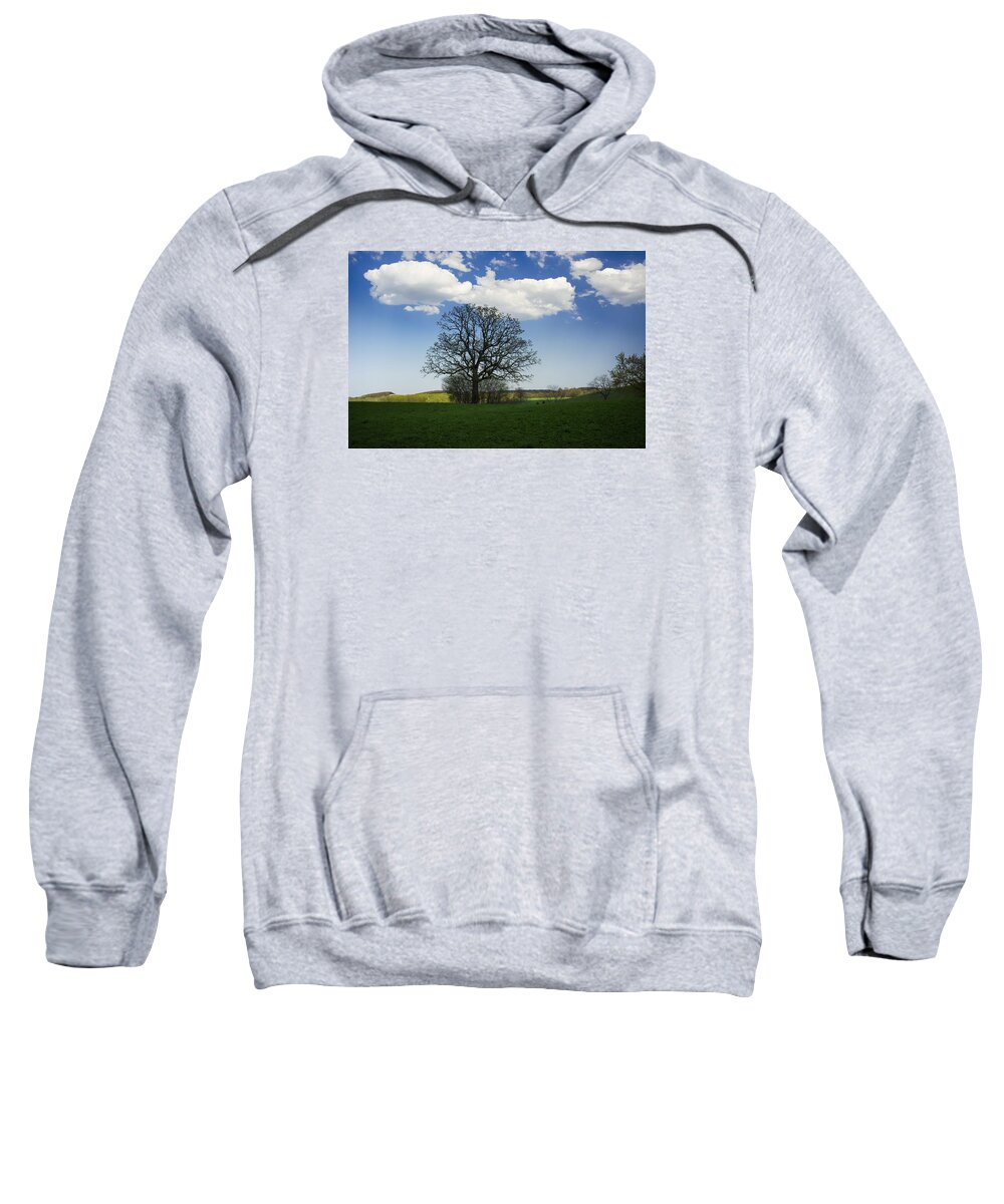  Sweatshirt featuring the photograph Shade by Dan Hefle
