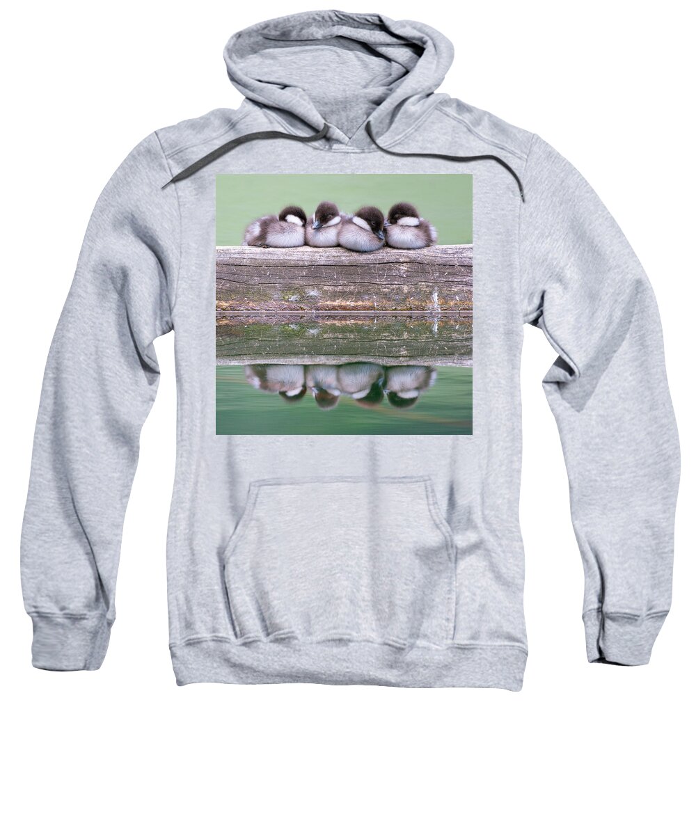 Yellowstone National Park Sweatshirt featuring the photograph Siesta by Max Waugh