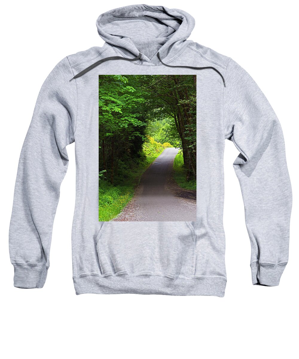 Trees Sweatshirt featuring the photograph Silent Walkway by David Lunde