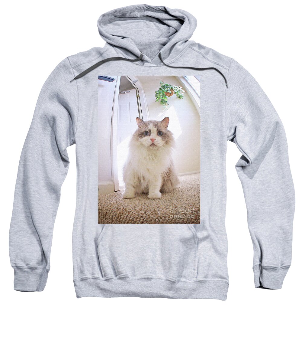Ragamuffins Sweatshirt featuring the photograph Simply Beautiful by Geoff Crego