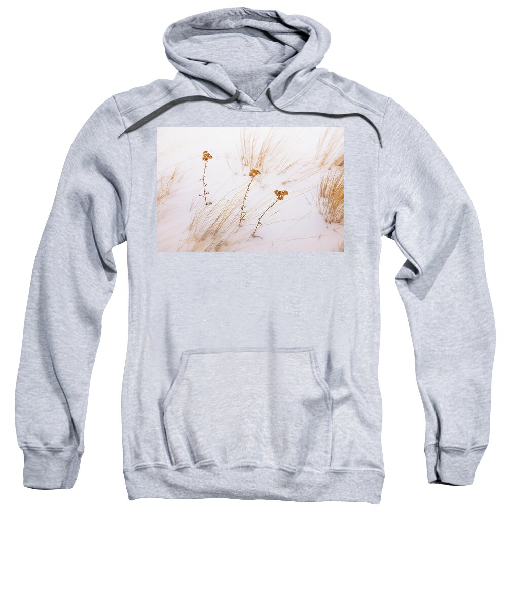 Winter Sweatshirt featuring the photograph Sisters by Allan Van Gasbeck