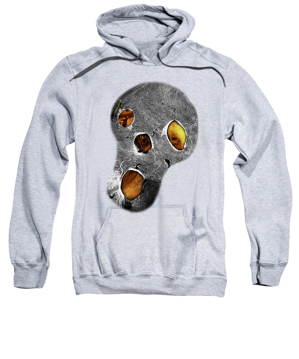 Texas Sweatshirt featuring the photograph Skull Burn by Erich Grant