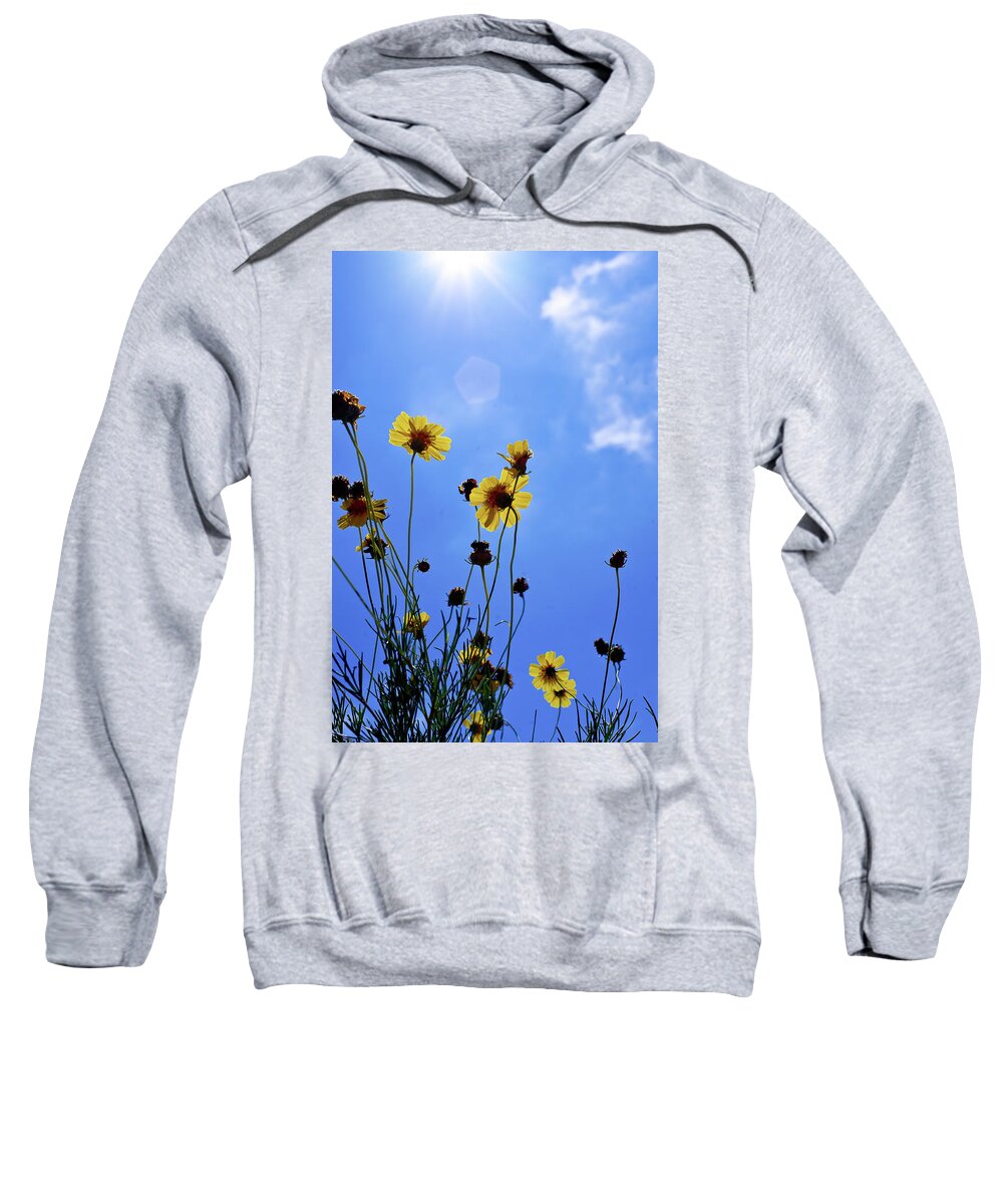 Caprock Sweatshirt featuring the photograph Sky Flowers by Adam Reinhart