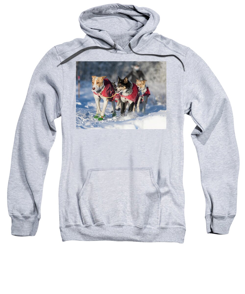 Alaska Sweatshirt featuring the photograph Sled Dog Team by Scott Slone