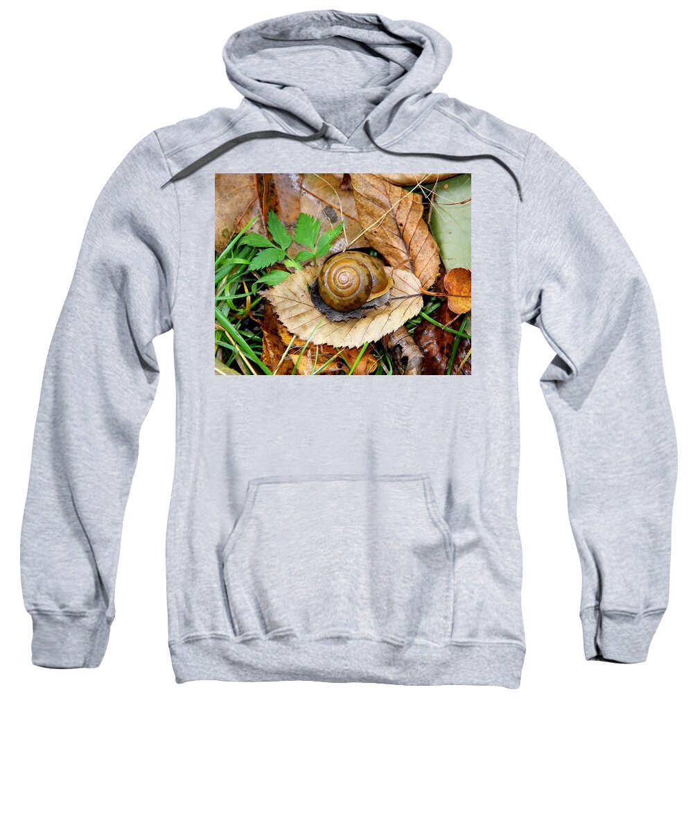 Snail Sweatshirt featuring the photograph Snail Home by Allen Nice-Webb