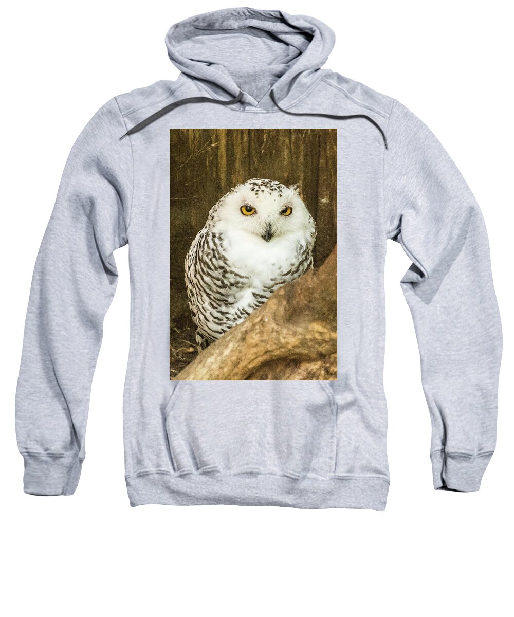 Zoo Sweatshirt featuring the photograph Snow Owl by John Benedict