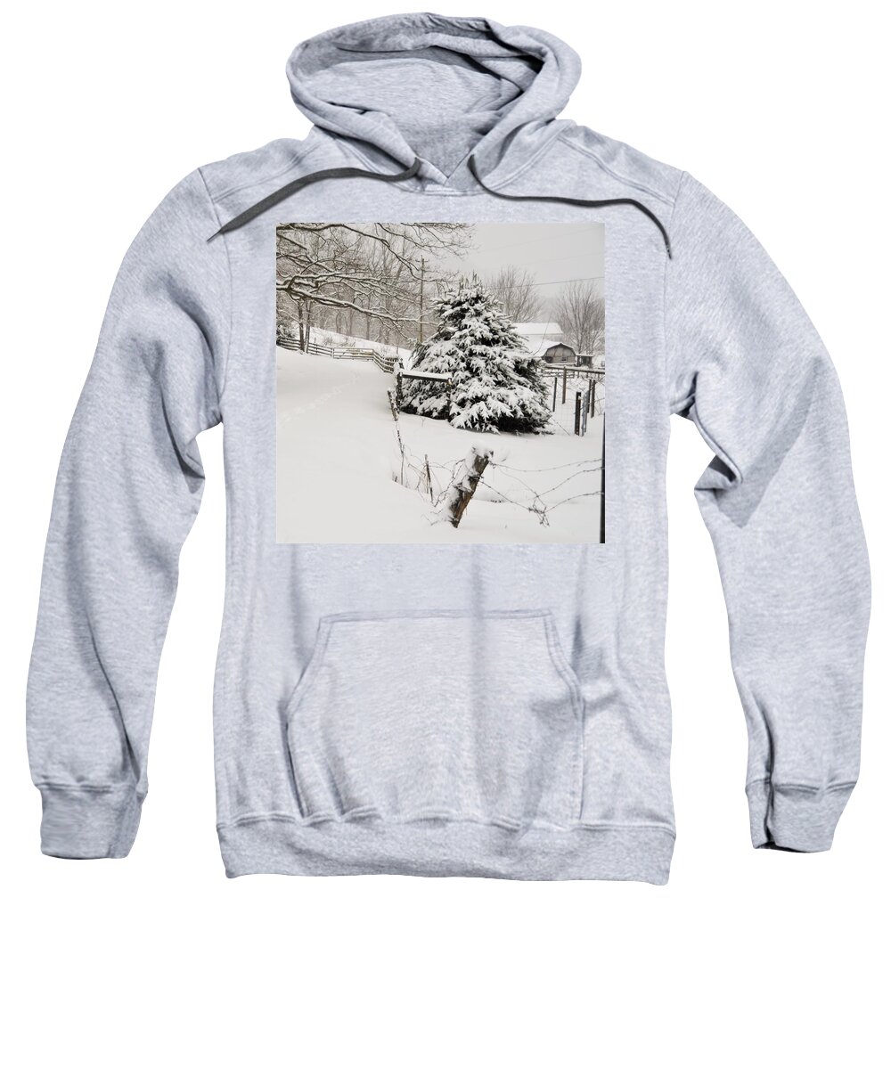  Sweatshirt featuring the photograph Snow Tree by Chuck Brown