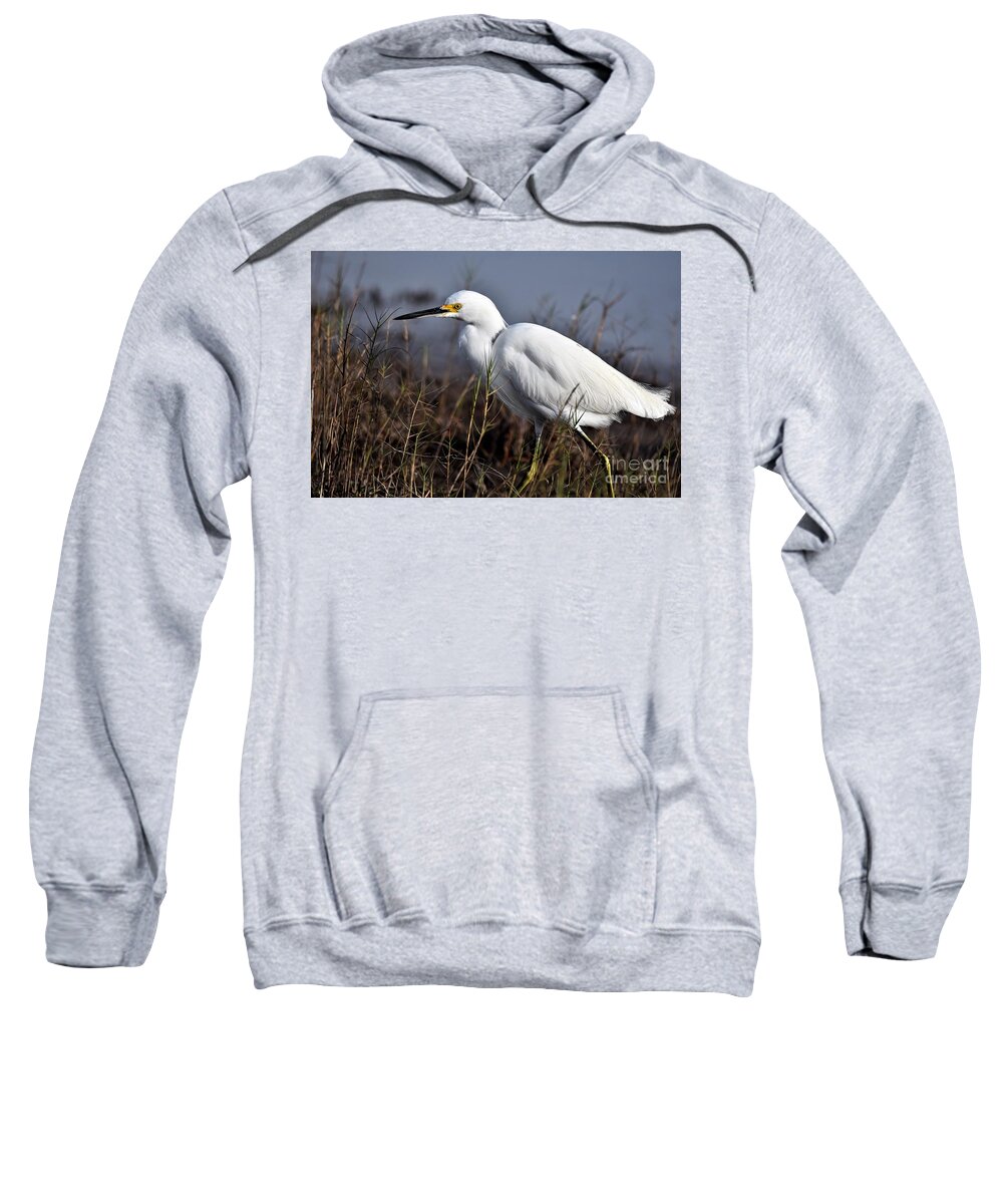 Egretta Thula Sweatshirt featuring the photograph Snowy Egret On The Hunt by Julie Adair