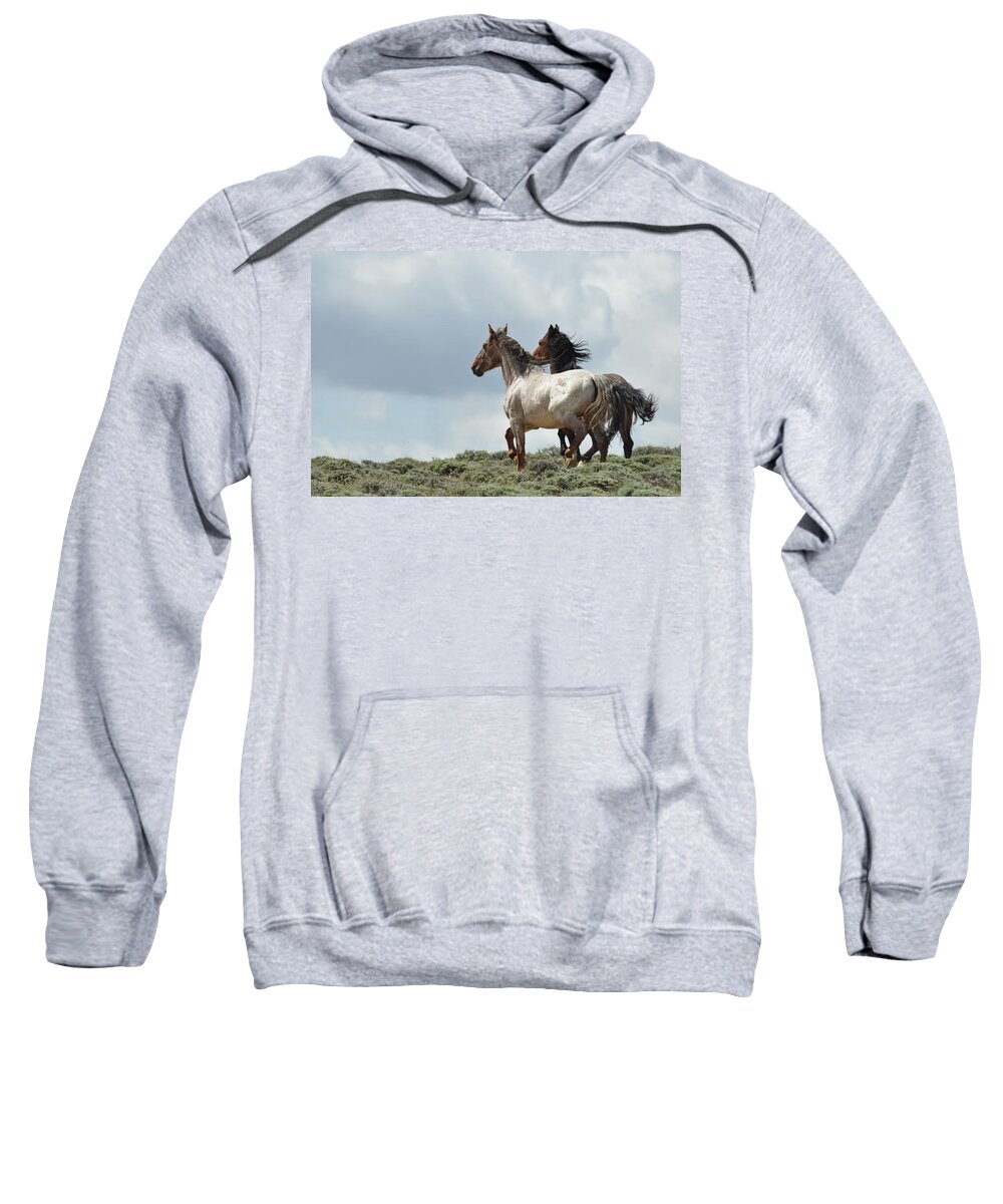 Wild Horses Sweatshirt featuring the photograph So Long by Frank Madia