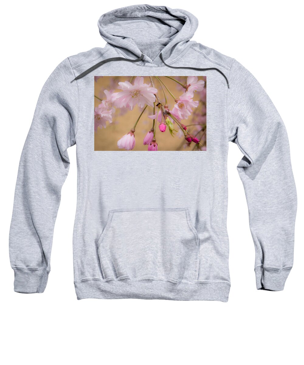 Duke University Sweatshirt featuring the photograph Soft Spring Blossoms by Joni Eskridge