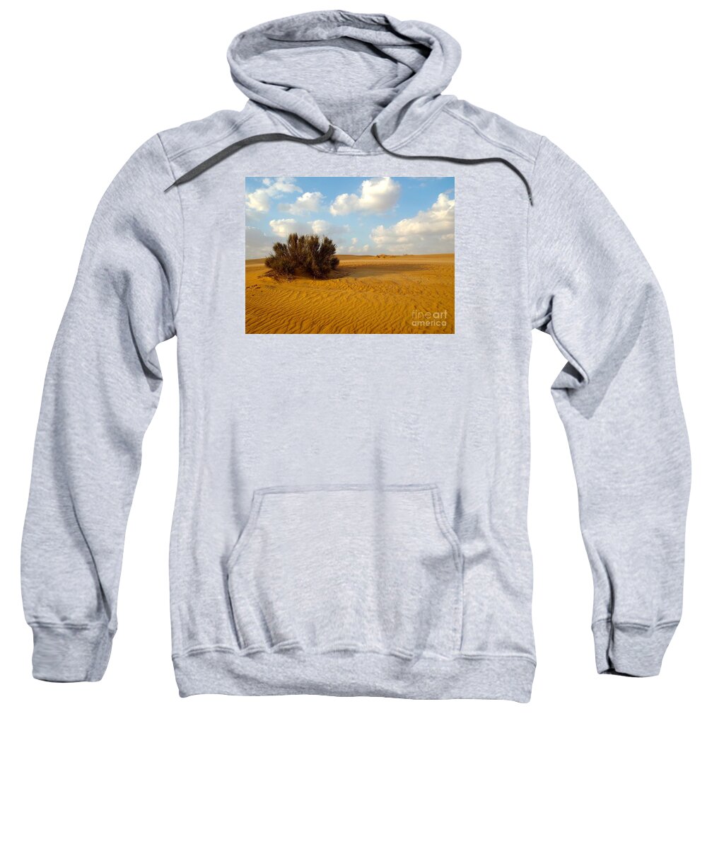 Landscape Sweatshirt featuring the photograph Solitary Shrub by Barbara Von Pagel